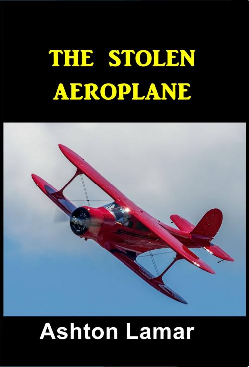 Cover of the book The Stolen Aeroplane by Ashton Lamar, Green Bird Press