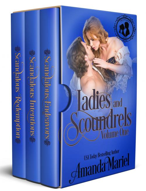 Cover of the book Ladies and Scoundrels by Amanda Mariel, Brook Ridge Press