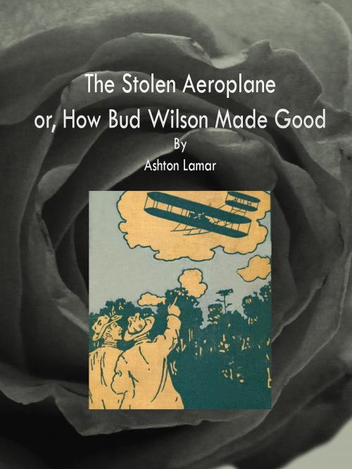 Cover of the book The Stolen Aeroplane by Ashton Lamar, cbook2823