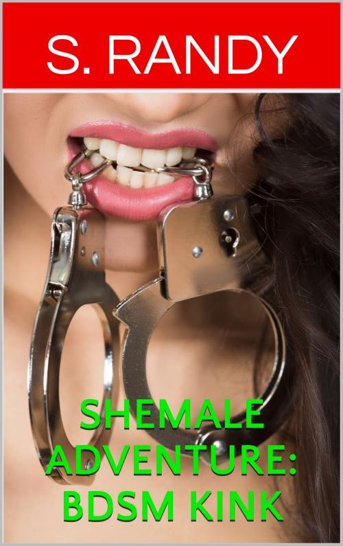 Cover of the book Shemale Adventure: BDSM Kink by S. Randy, S3 Books