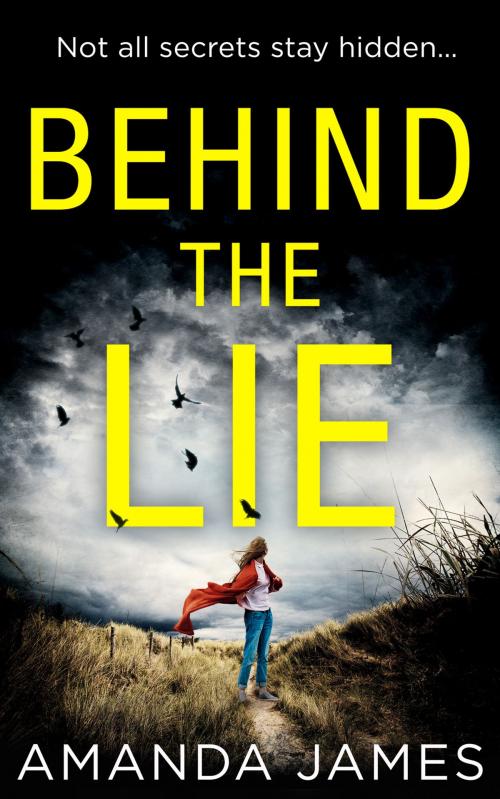Cover of the book Behind the Lie by Amanda James, HarperCollins Publishers