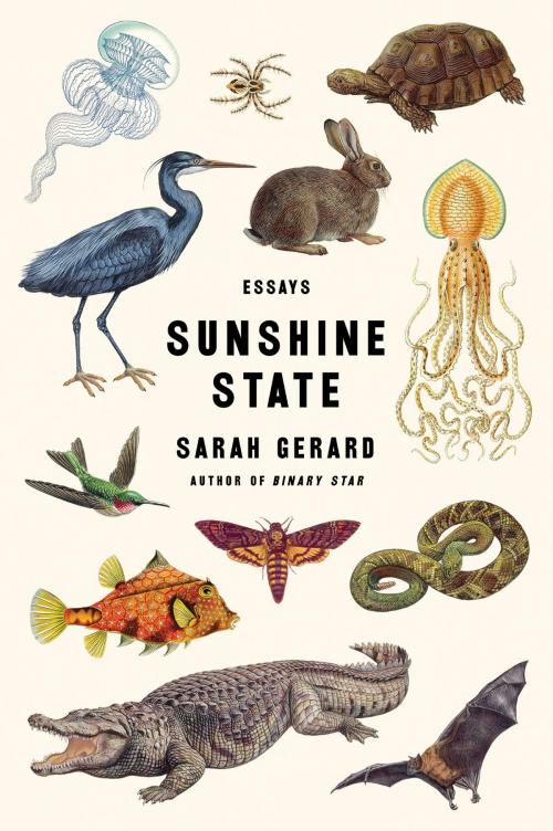 Cover of the book Sunshine State by Sarah Gerard, Harper Perennial