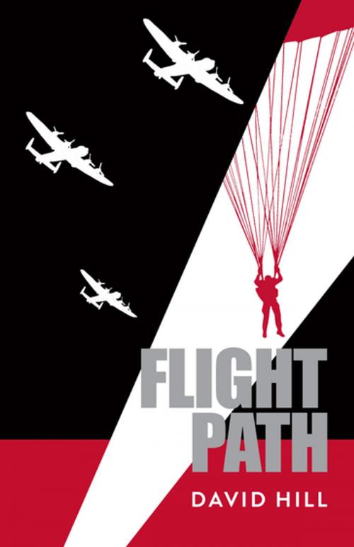 Cover of the book Flight Path by David Hill, Penguin Random House New Zealand