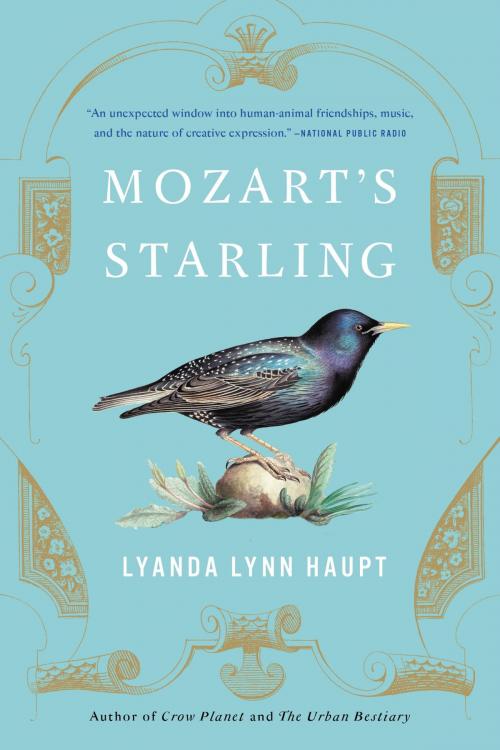 Cover of the book Mozart's Starling by Lyanda Lynn Haupt, Little, Brown and Company