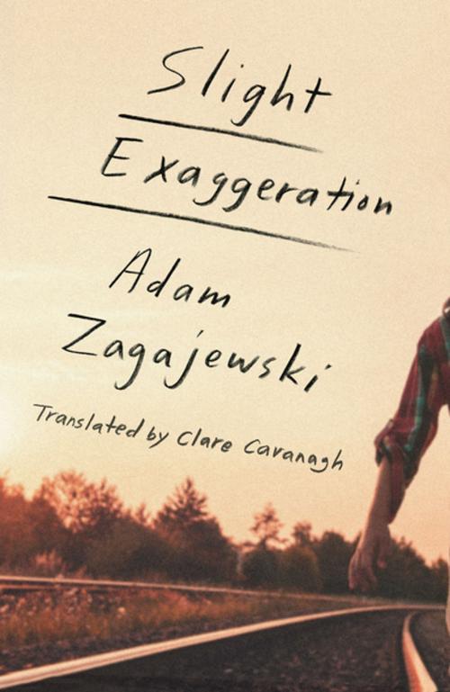 Cover of the book Slight Exaggeration by Adam Zagajewski, Farrar, Straus and Giroux