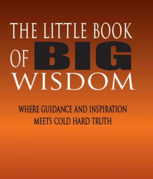 Cover of the book The Little Book of BIG Wisdom by Sally Glenn, White Light Publishing House