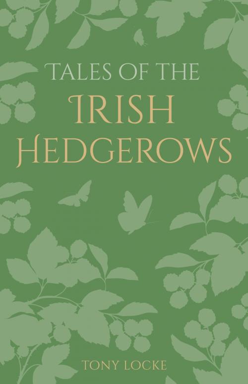 Cover of the book Tales of the Irish Hedgerows by Tony Locke, The History Press