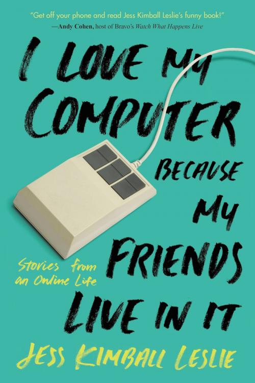 Cover of the book I Love My Computer Because My Friends Live in It by Jess Kimball Leslie, Running Press