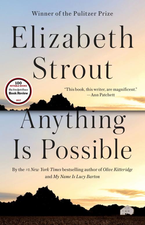 Cover of the book Anything Is Possible by Elizabeth Strout, Random House Publishing Group