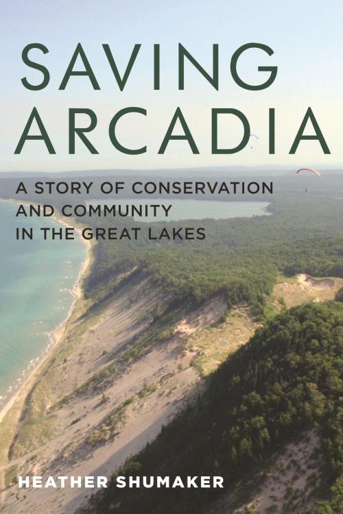 Cover of the book Saving Arcadia by Heather Shumaker, Wayne State University Press