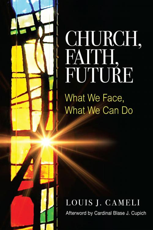 Cover of the book Church, Faith, Future by Louis J. Cameli, Cardinal Blase J. Cupich, Liturgical Press