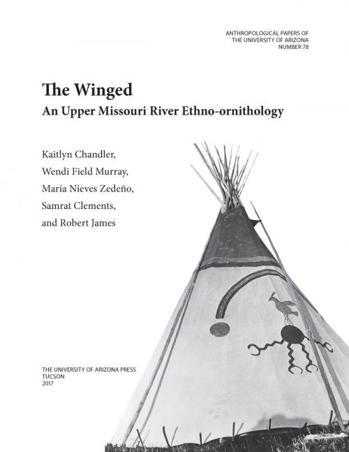 Cover of the book The Winged by Kaitlyn Moore Chandler, Wendi Field Murray, María Nieves Zedeño, Samrat Miller Clements, Robert James, University of Arizona Press