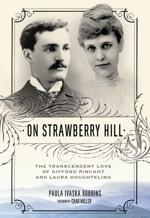Cover of the book On Strawberry Hill by Paula Ivaska Robbins, University of Alabama Press