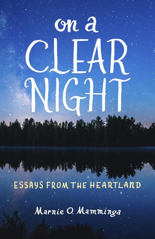 Cover of the book On a Clear Night by Marnie O. Mamminga, Wisconsin Historical Society Press