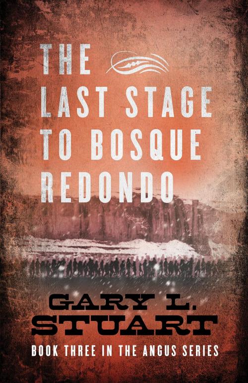Cover of the book The Last Stage to Bosque Redono by Gary L Stuart, GL Stuart Enterprises, Inc