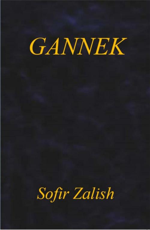 Cover of the book Gannek by Sofir Zalish, HN & SG Publishing