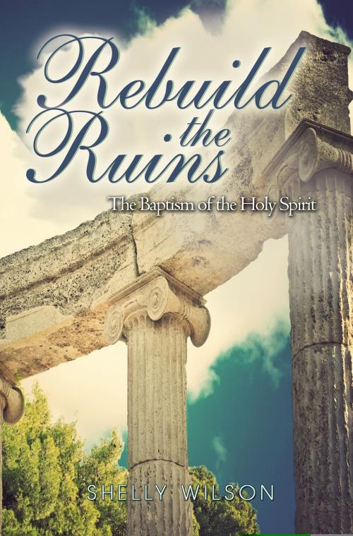 Cover of the book Rebuild the Ruins by Shelly Wilson, BookBaby