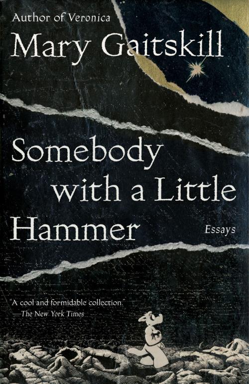 Cover of the book Somebody with a Little Hammer by Mary Gaitskill, Knopf Doubleday Publishing Group