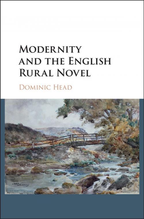 Cover of the book Modernity and the English Rural Novel by Dominic Head, Cambridge University Press