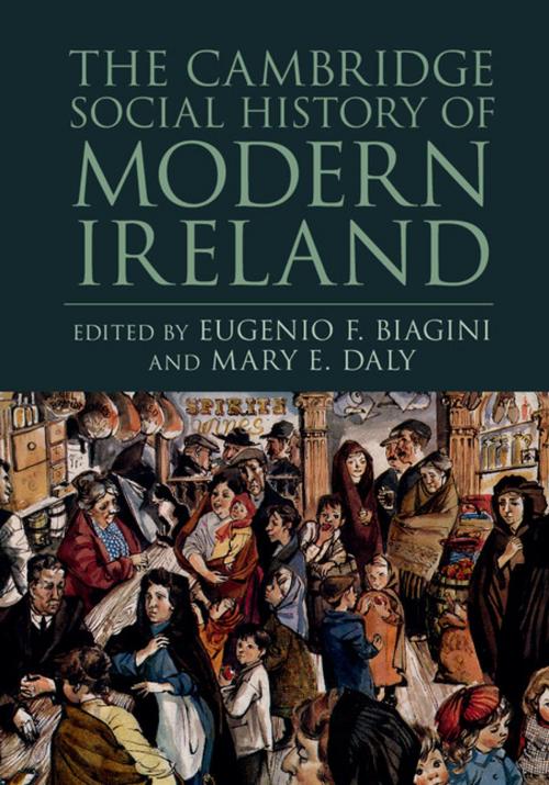 Cover of the book The Cambridge Social History of Modern Ireland by , Cambridge University Press