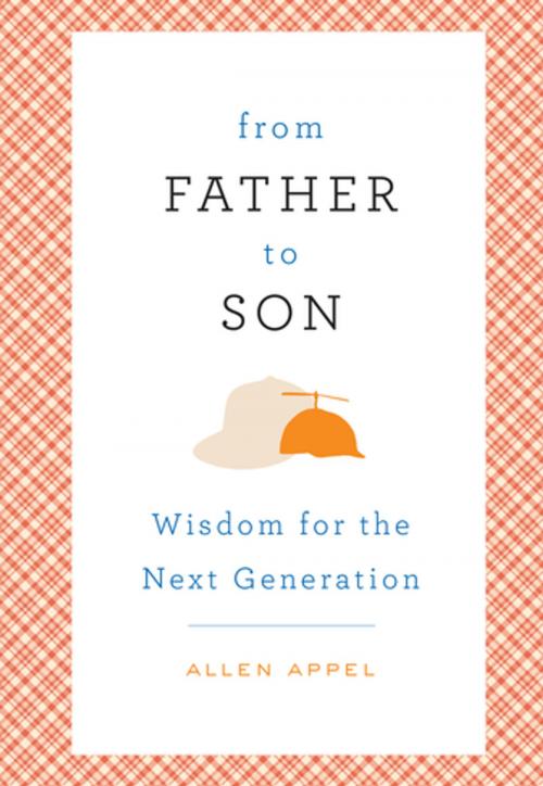 Cover of the book From Father to Son by Allen Appel, Sherry Conway Appel, St. Martin's Press