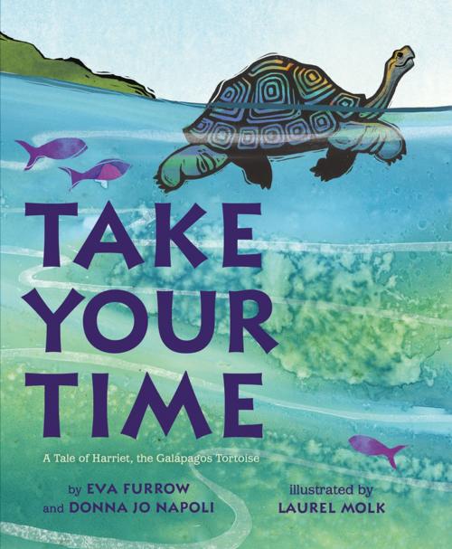 Cover of the book Take Your Time by Eva Furrow, Donna Jo Napoli, Henry Holt and Co. (BYR)