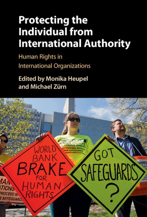 Cover of the book Protecting the Individual from International Authority by , Cambridge University Press