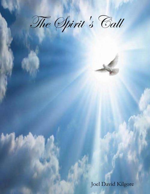 Cover of the book The Spirit's Call by Joel David Kilgore, Lulu.com