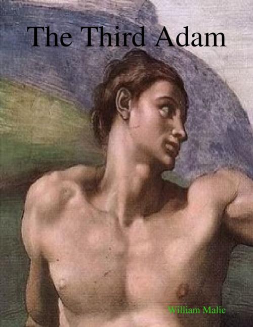 Cover of the book The Third Adam by William Malic, Lulu.com