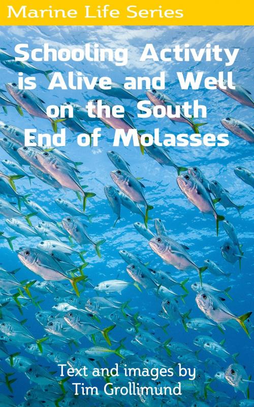 Cover of the book Schooling Activity is Alive and Well on the South End of Molasses by Tim Grollimund, Tim Grollimund