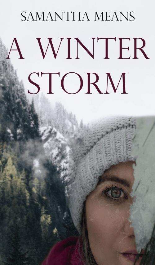 Cover of the book A Winter Storm by Samantha Means, Samantha Means