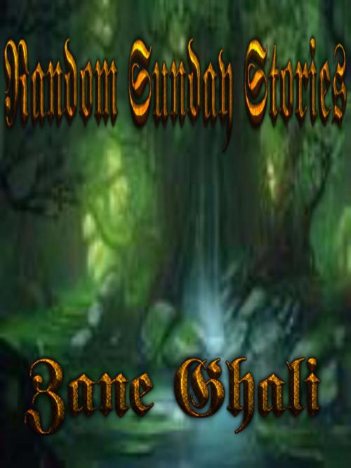 Cover of the book Random Sunday Stories by Zane Ghali, Zane Ghali