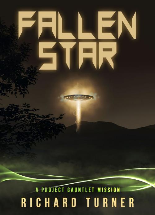 Cover of the book Fallen Star by Richard Turner, Richard Turner