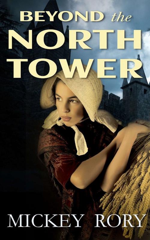 Cover of the book Beyond the North Tower by Mickey Rory, Nosepeople Productions