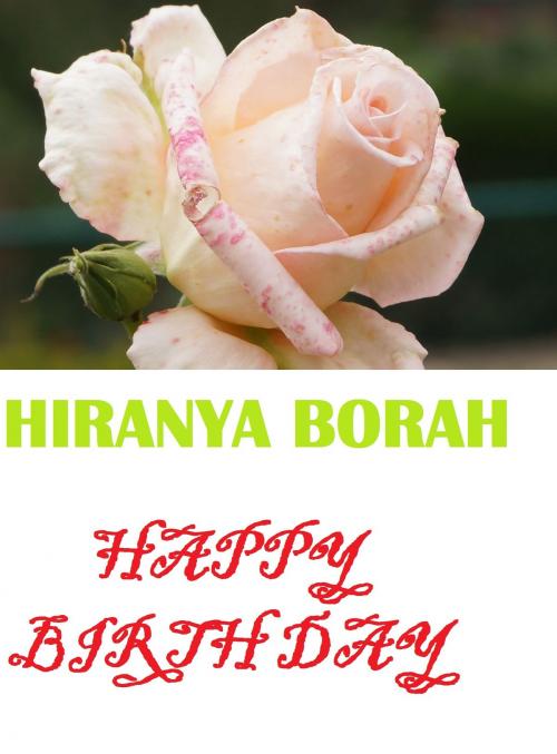 Cover of the book Birth Day by Hiranya Borah, Hiranya Borah