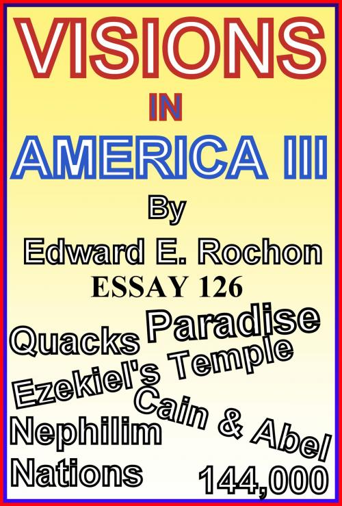 Cover of the book Visions in America III by Edward E. Rochon, Edward E. Rochon