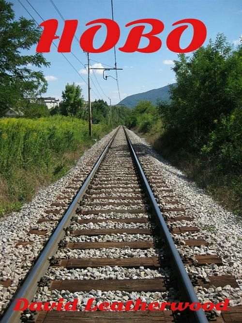 Cover of the book Hobo by David Leatherwood, David Leatherwood