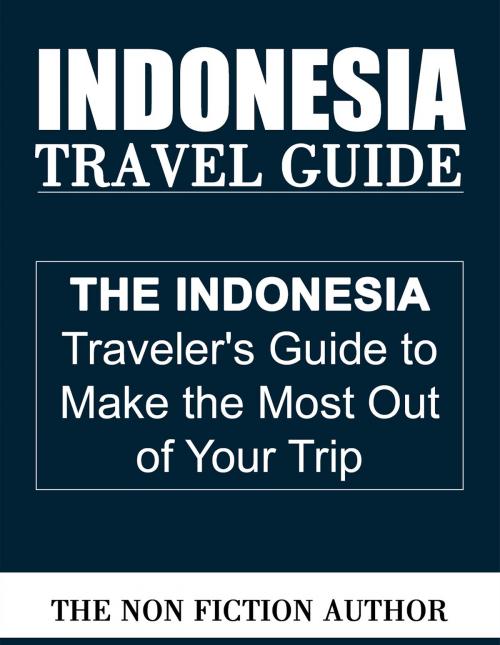 Cover of the book Indonesia Travel Guide by The Non Fiction Author, The Non Fiction Author