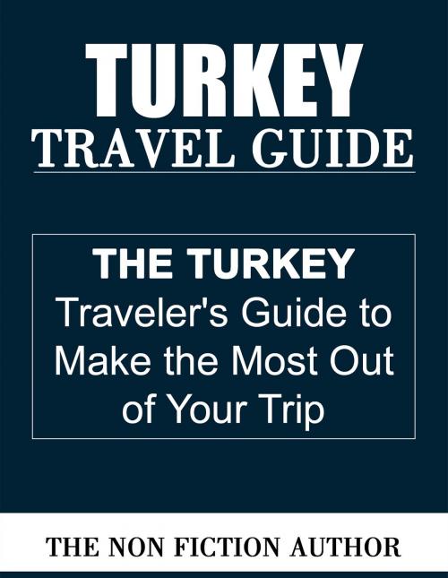 Cover of the book Turkey Travel Guide by The Non Fiction Author, The Non Fiction Author