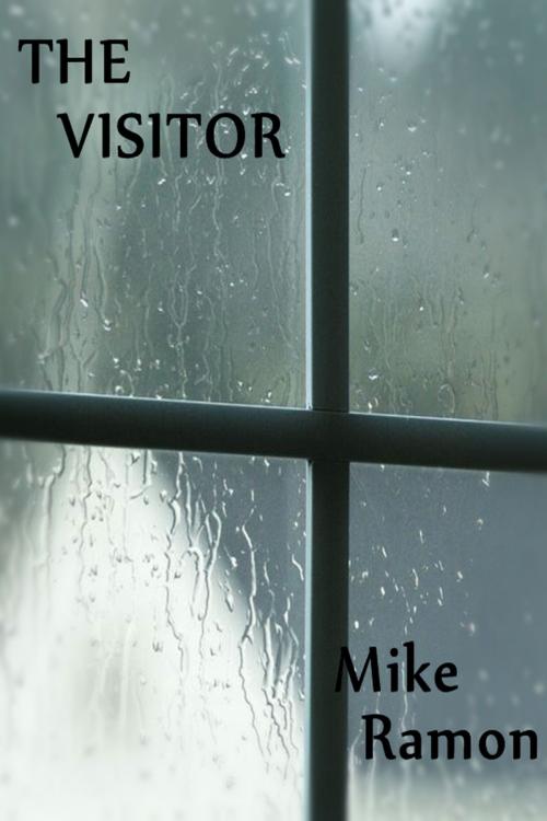 Cover of the book The Visitor by Mike Ramon, Mike Ramon