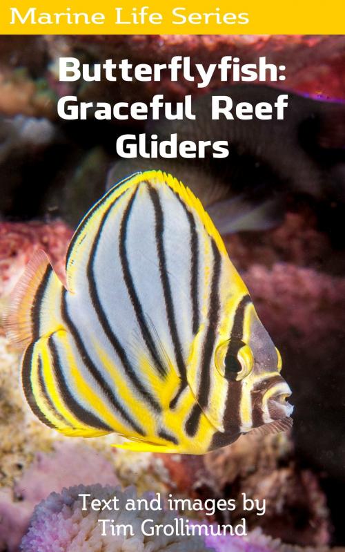 Cover of the book Butterflyfish: Graceful Reef Gliders by Tim Grollimund, Tim Grollimund