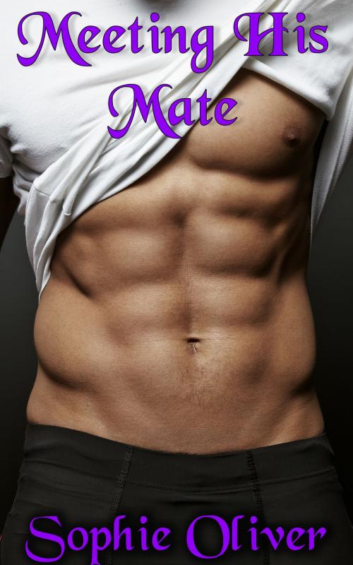 Cover of the book Meeting His Mate by Sophie Oliver, Quixerotic
