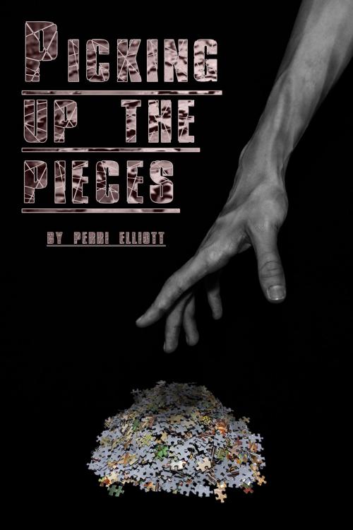 Cover of the book Picking up the Pieces by Perri Elliott, Perri Elliott