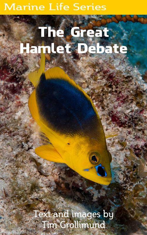 Cover of the book The Great Hamlet Debate by Tim Grollimund, Tim Grollimund