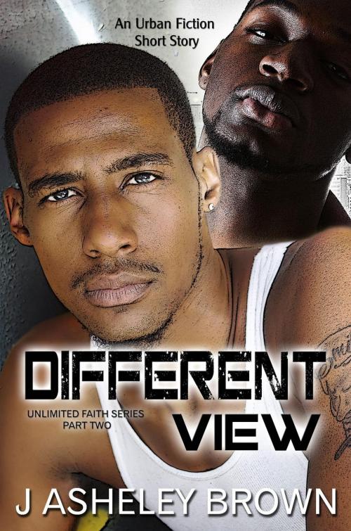 Cover of the book Different View by J Asheley Brown, J Asheley Brown