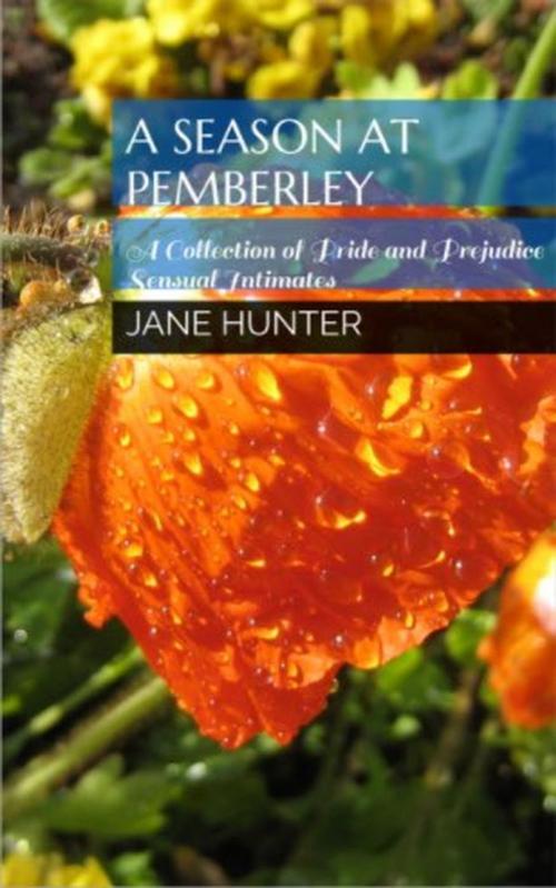 Cover of the book A Season at Pemberley: A Collection of Pride and Prejudice Sensual Intimates by Jane Hunter, Helene Curtis, Petra Belmonte, Red Thorns Press