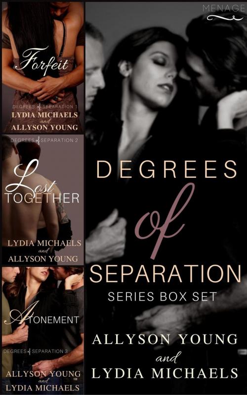 Cover of the book Degrees of Separation Trilogy Box Set by Lydia Michaels, Allyson Young, Lydia Michaels & Allyson Young