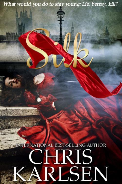 Cover of the book Silk by Chris Karlsen, Books to Go Now