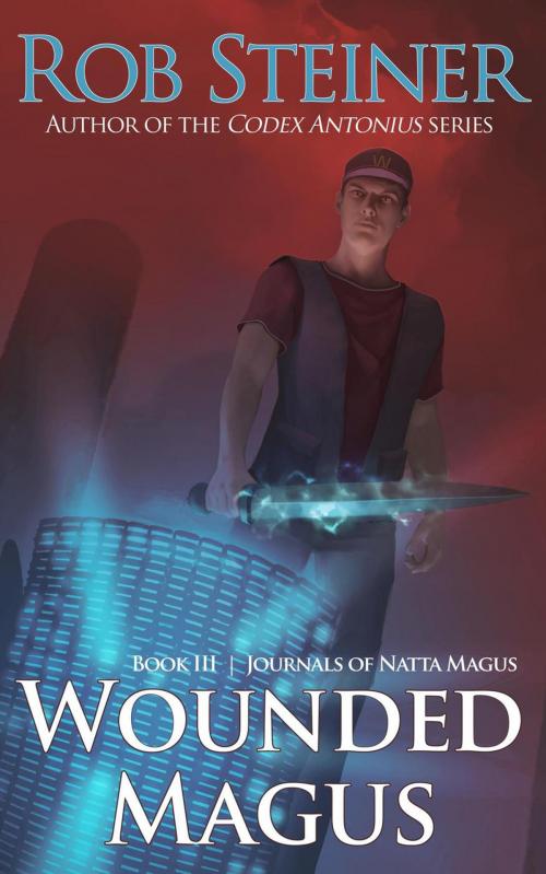 Cover of the book Wounded Magus by Rob Steiner, Quarkfolio Books
