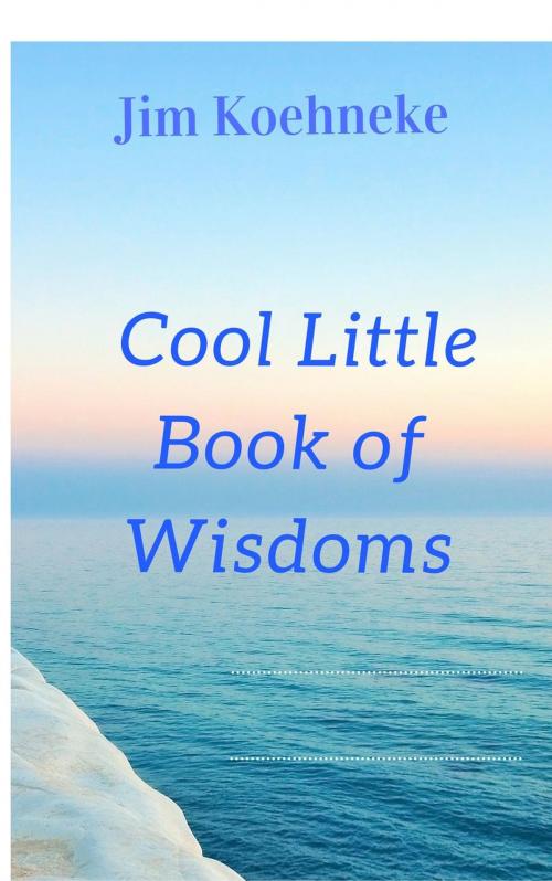 Cover of the book Cool Little Book of Wisdoms by Jim Koehneke, Jim Koehneke